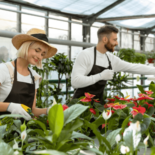 Professional Horticulture and Landscaping Services